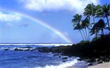 paisaje playa de Hawai #14