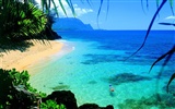 havajské pláži scenérie #18