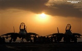 Estados Unidos Armada de combate F14 Tomcat #4