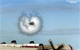 U. S. Navy F14 Tomcat Kämpfer #12
