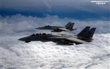 米海軍F14キーTomcatの戦闘機 #19
