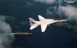 ВМС США истребителя F14 Tomcat #5753