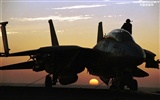 U. S. Navy F14 Tomcat bojovník #24