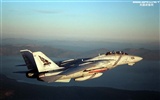 美国海军F14雄猫战斗机26