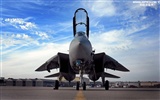 Estados Unidos Armada de combate F14 Tomcat #28