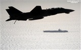 Estados Unidos Armada de combate F14 Tomcat #30