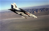 Estados Unidos Armada de combate F14 Tomcat #36
