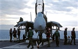 美国海军F14雄猫战斗机41