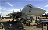 Estados Unidos Armada de combate F14 Tomcat #45