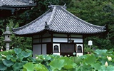 日本京都风景壁纸