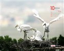 YAHOO Südkorea im Oktober Scenic Kalender #8
