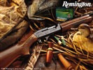 Remington-Tapete