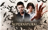 Supernatural fondo de pantalla (3) #32