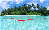 Мальдивы вода и голубое небо