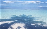 ciel bleu de l'eau aux Maldives et #6904