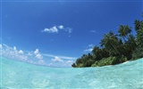 Мальдивы вода и голубое небо #7