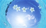 몰디브 물과 푸른 하늘 #6908
