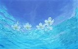 Maldivas agua y el cielo azul #11