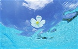 Maldivas agua y el cielo azul #12