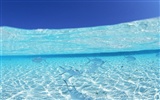 Maldivas agua y el cielo azul #23