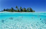 Maldivas agua y el cielo azul #24