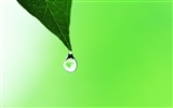 Čerstvé zelené listy tapetu (2) #18