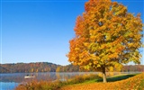 Dickes Herbstlandschaft Tapete #3