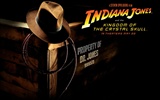 Indiana Jones 4 fonds d'écran Crystal Skull #13