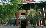Glimpse of Peking University (Minghu Metasequoia works) #3