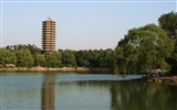 letmý pohled na Peking University (Minghu Metasequoia práce) #5