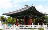 Jižní Korea Tour - Krajina články (GGC práce) #34