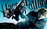 Гарри Поттер и обои Принц-полукровка #6