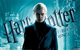 Harry Potter a Half-Prince dvojí krve tapeta #7