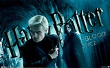 Гарри Поттер и обои Принц-полукровка #14