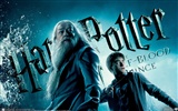 Гарри Поттер и обои Принц-полукровка #15