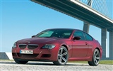 BMW는 - M6 배경 화면 #2