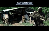 Crysis обои (2) #14