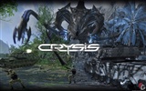 Crysis Wallpaper (3) #15