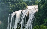 Huangguoshu Falls (Minghu Метасеквойя работ) #3