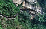 Huangguoshu Falls (Minghu Метасеквойя работ) #6