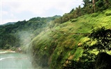 Huangguoshu Falls (Minghu Metasequoia práce) #7