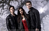 The Vampire Diaries wallpaper #5