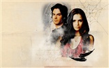 The Vampire Diaries Tapete #18