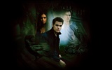 The Vampire Diaries Tapete #24