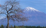 Fuji écran paysages Album #26