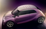 Revolte Citroen Concept Car wallpaper #16