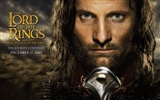 The Lord of the Rings wallpaper #14