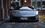 Enfriar coches Lamborghini Wallpaper