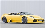 Cool автомобили Lamborghini обои #9