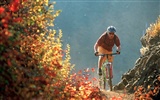 Fond d'écran de vélo de montagne #10